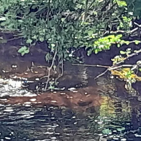 Glamping Bell Tent St Mullins