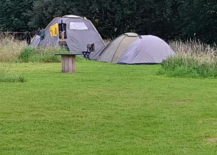 Οργανωμένο κάμπινγκ Glamping Bell Tent